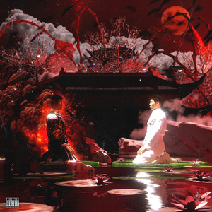 久久免费视频网站
